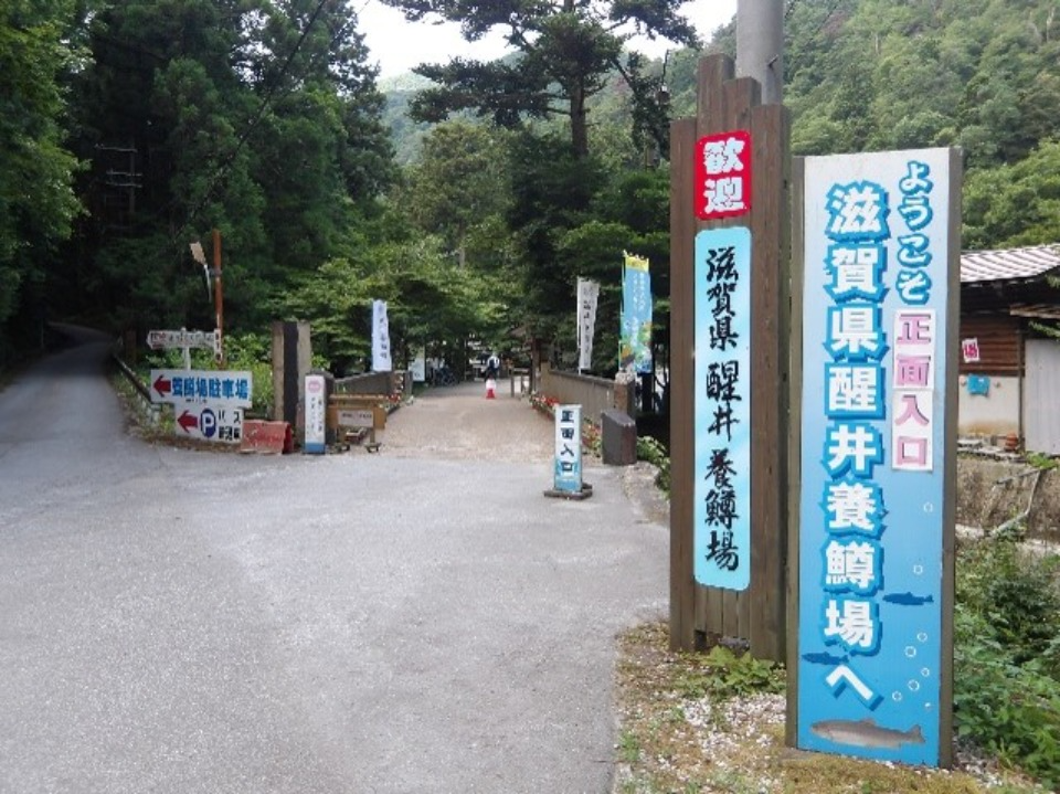 醒井養鱒場の入口