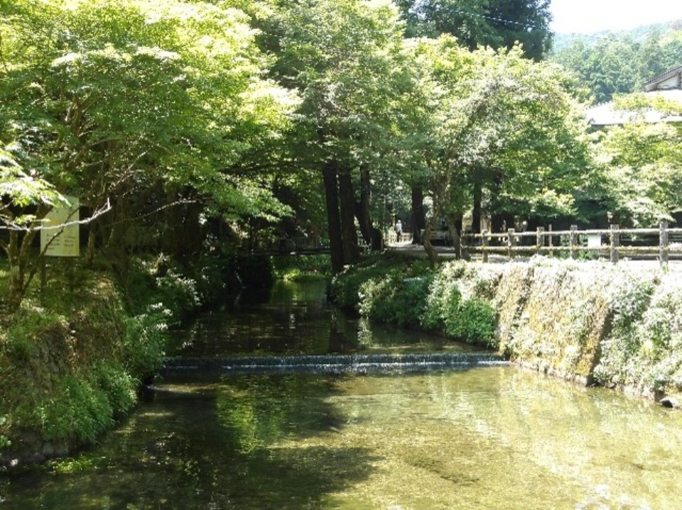 醒井養鱒場を流れる宗谷川