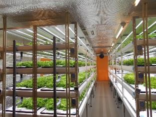 施設内の水耕栽培の棚４段の水耕栽培棚が５列設置されています