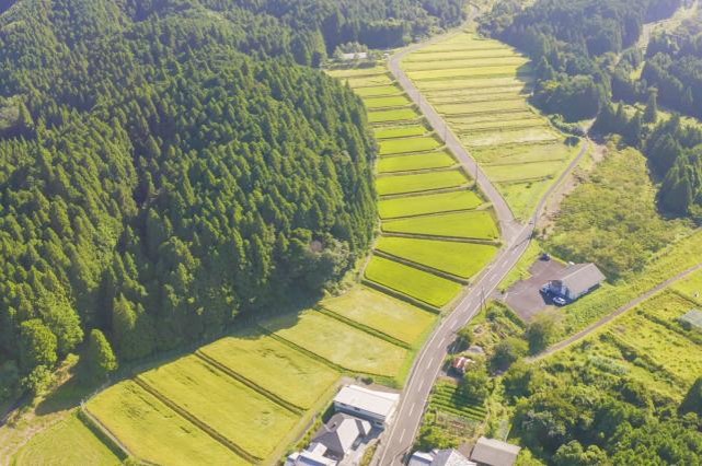 多面的な機能を有する棚田（写真は甲賀市・山女原の棚田）