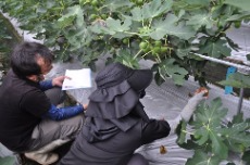 栗東市チャレンジ農業塾協議会