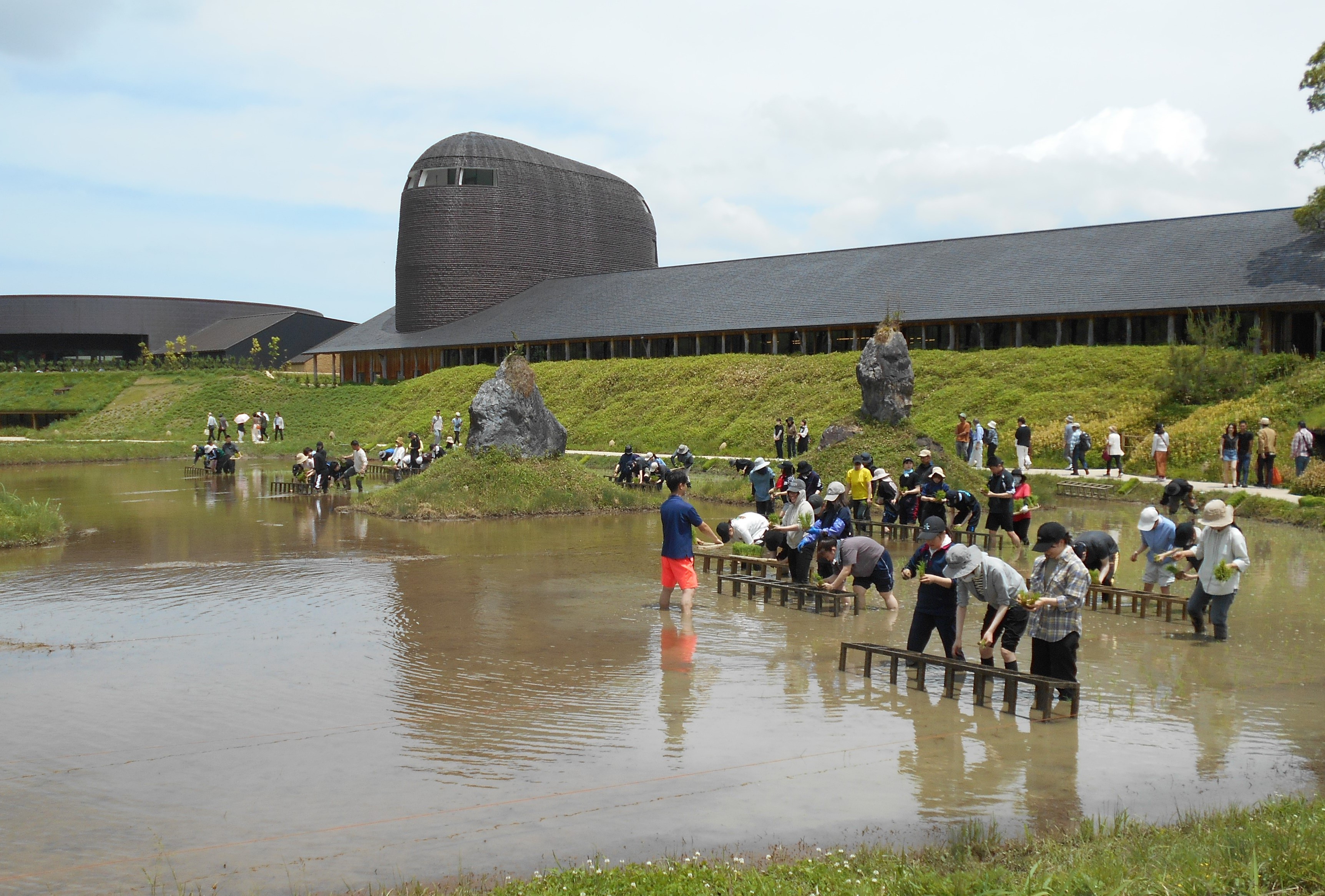 株式会社キャンディーファーム