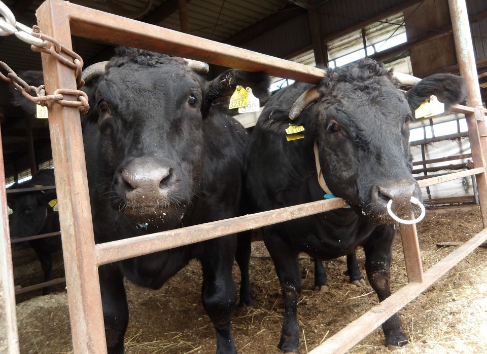 千成亭ファーム