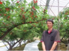 マキノピックランド