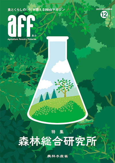 aff 12月号