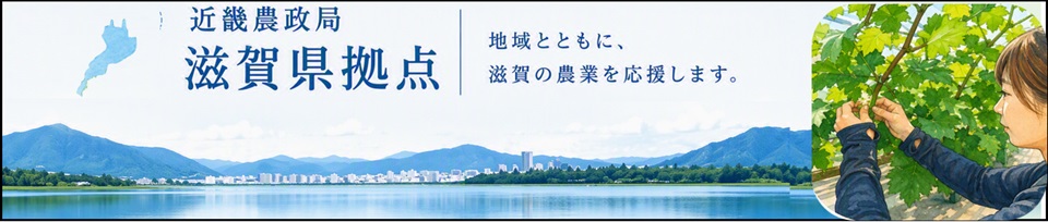 滋賀県拠点