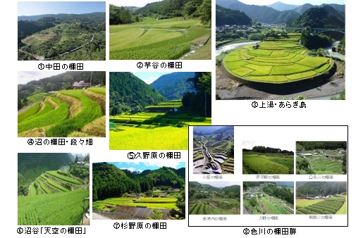 棚田紹介バナー