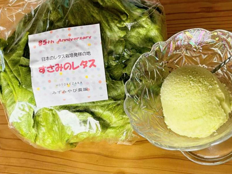 すさみのレタスとレタスソルベ