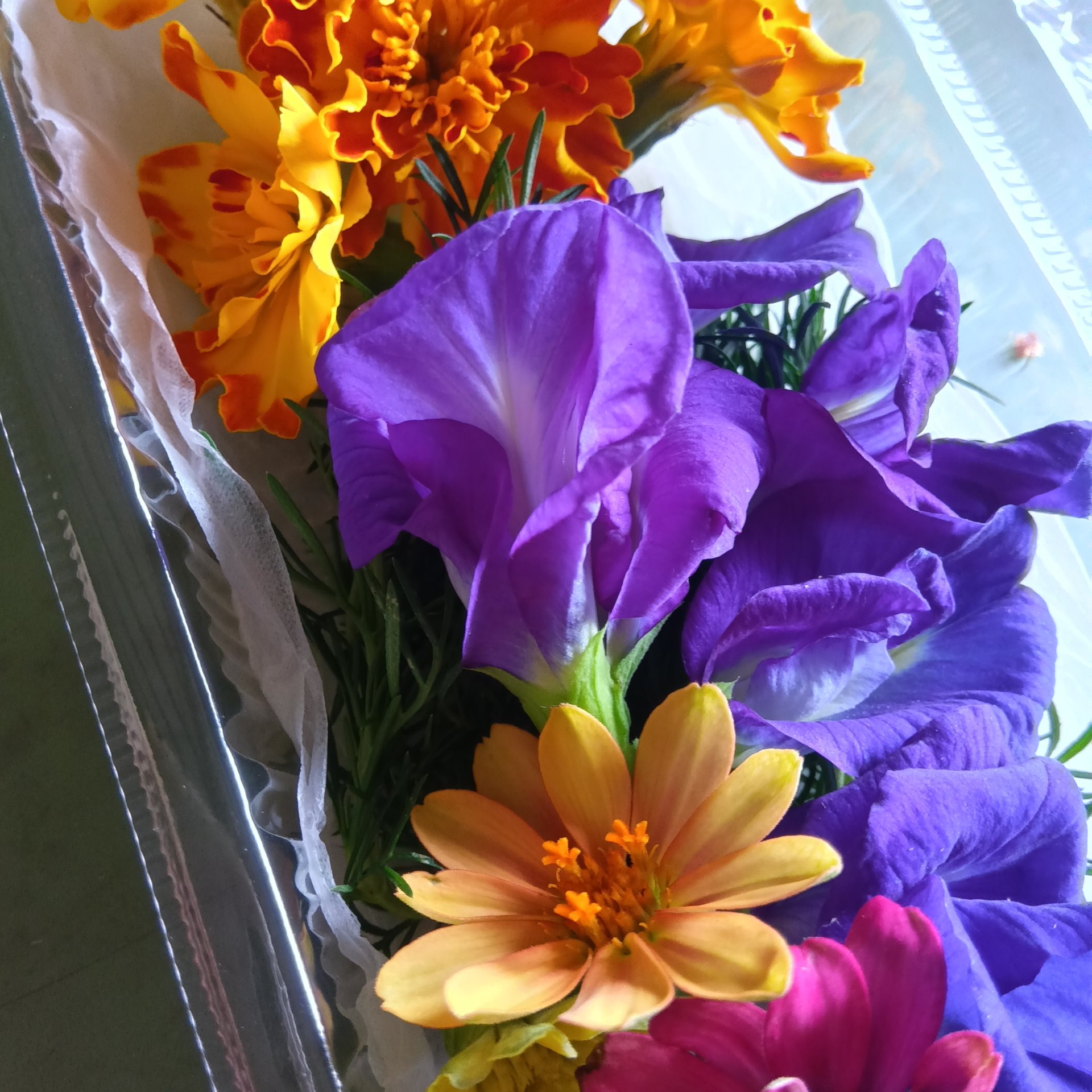 食用花(エディブルフラワー)の写真