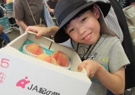 フルーツ王国「紀の川市」のあら川の桃 今年も直売所は大賑わい！！
