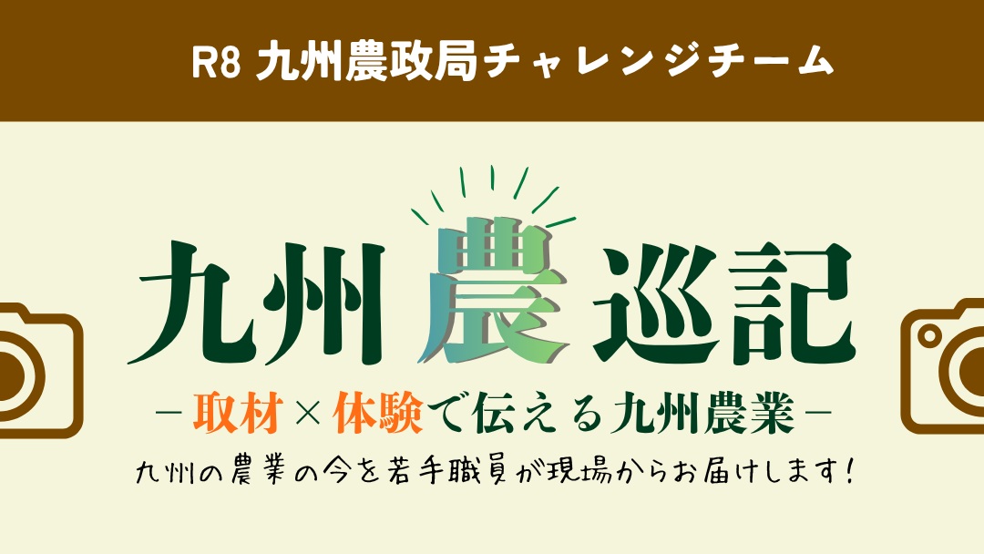 チャレンジ