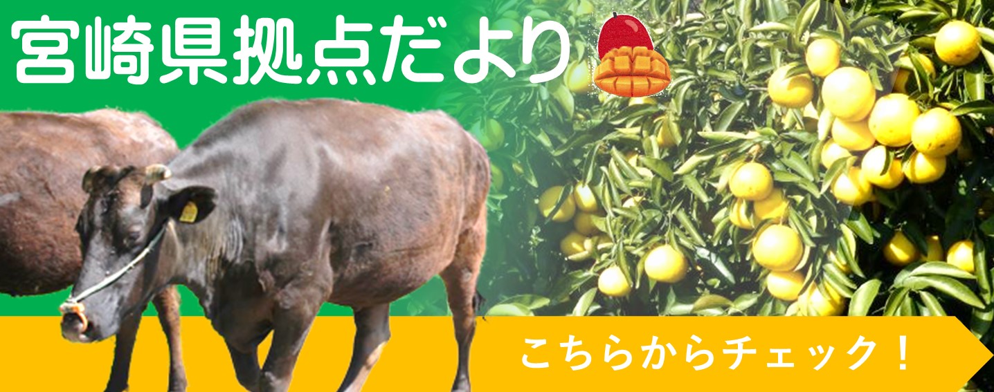 宮崎県拠点だより