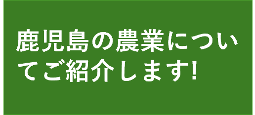 鹿児島の農業についてご紹介します！に遷移します