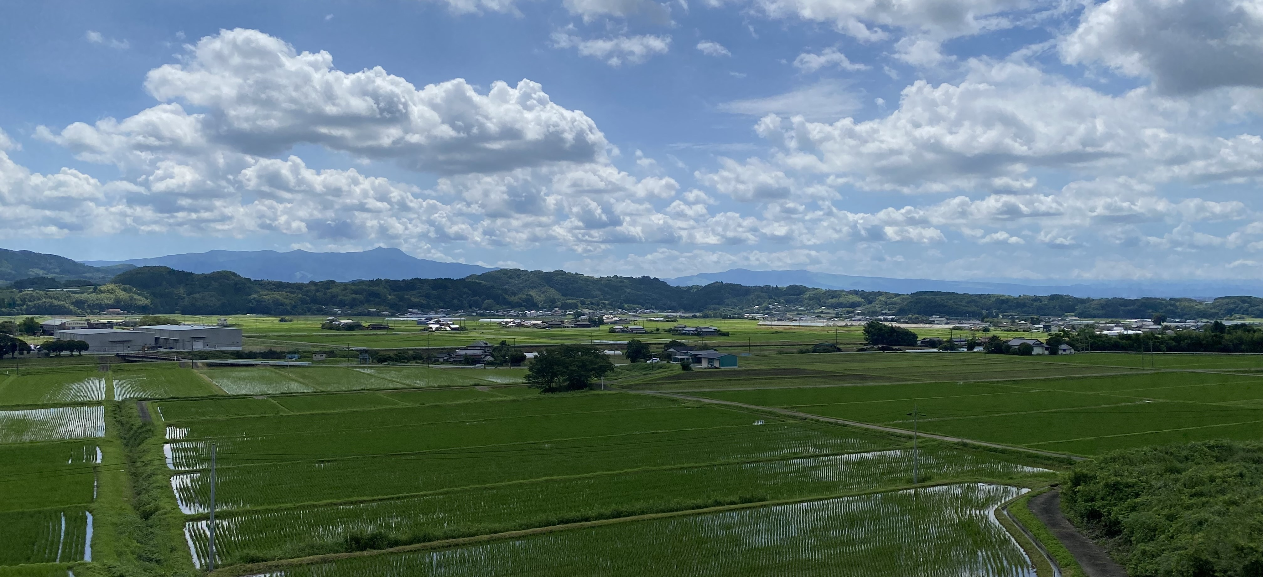 田んぼの風景