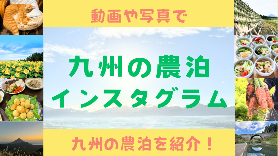 インスタグラム