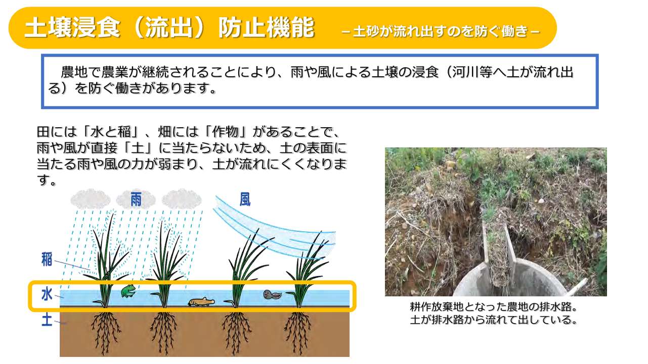 土壌浸食(流出)防止