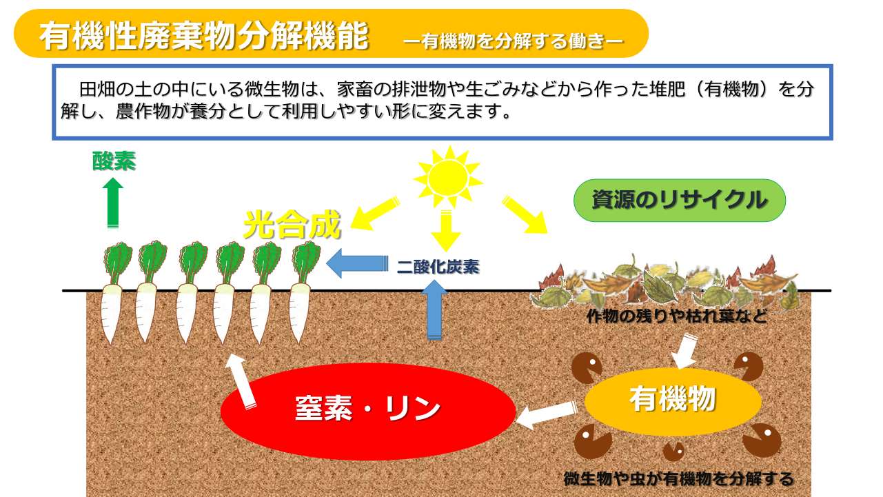 有機性廃棄物分解