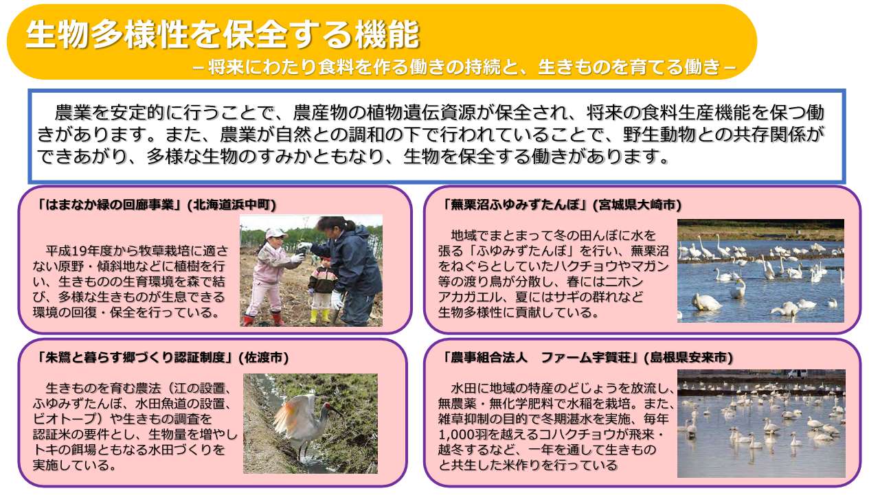 生物多様性保全