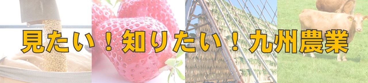 見たい知りたい