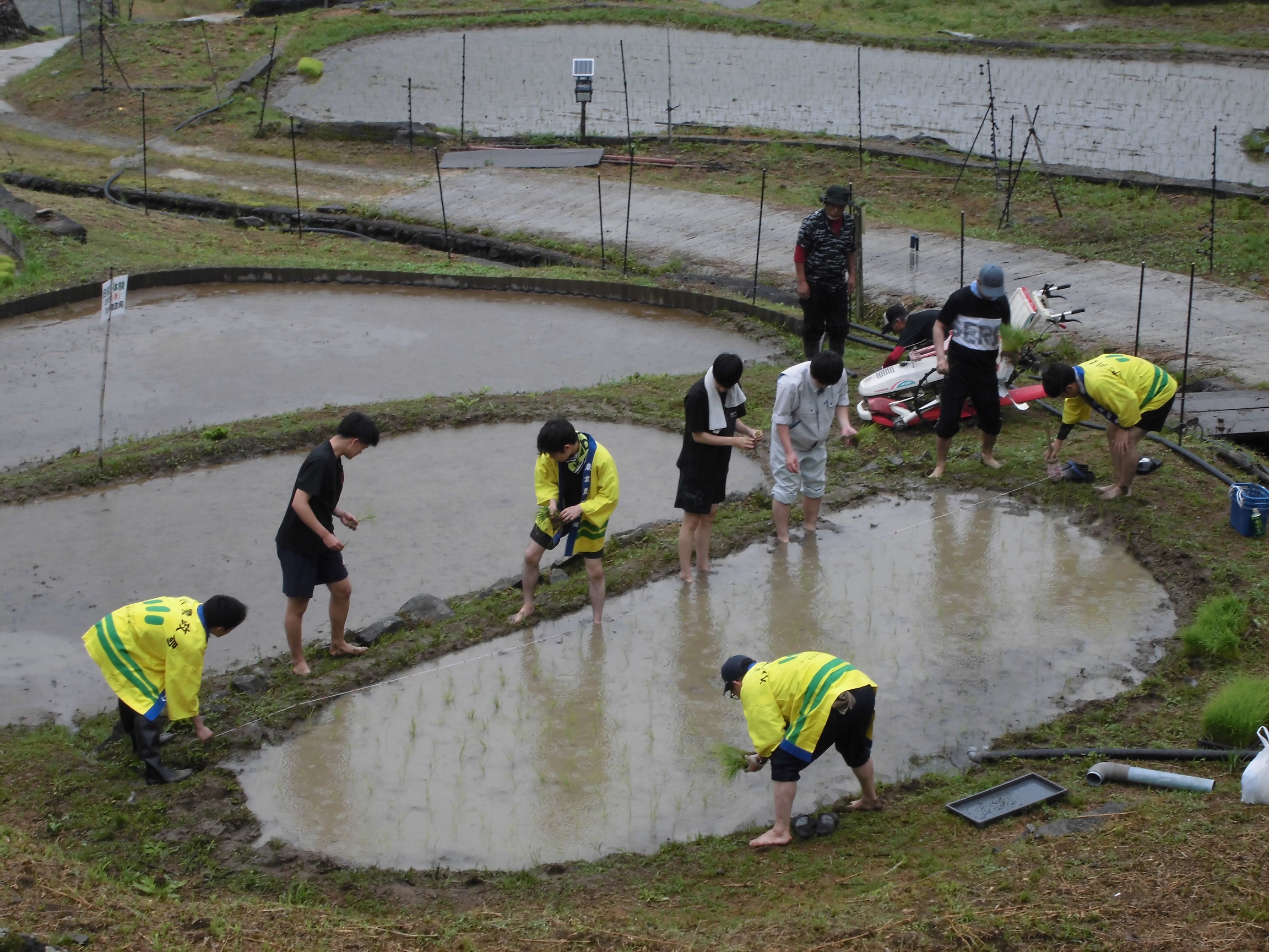 農政局田植え