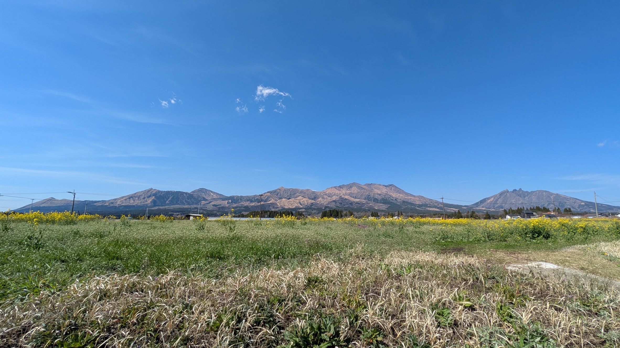 阿蘇五岳と菜の花