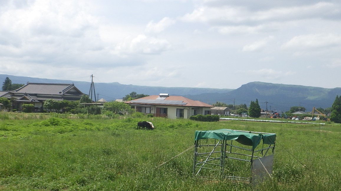 耕作放棄地を活用した放牧地