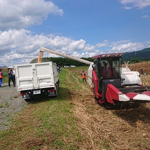 04_子実とうもろこし実演会・セミナー