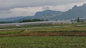 03_窒素の話圃場見学