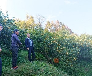 001_鶴田有機農園