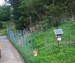 003_鶴田有機農園