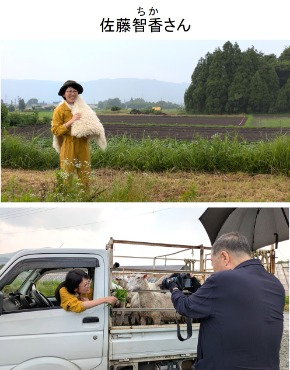 羊毛をまとう佐藤さん、羊にエサをやる佐藤さん