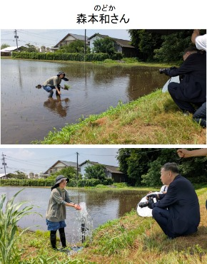 苗を植える森本さん、田んぼの水は地下水を利用