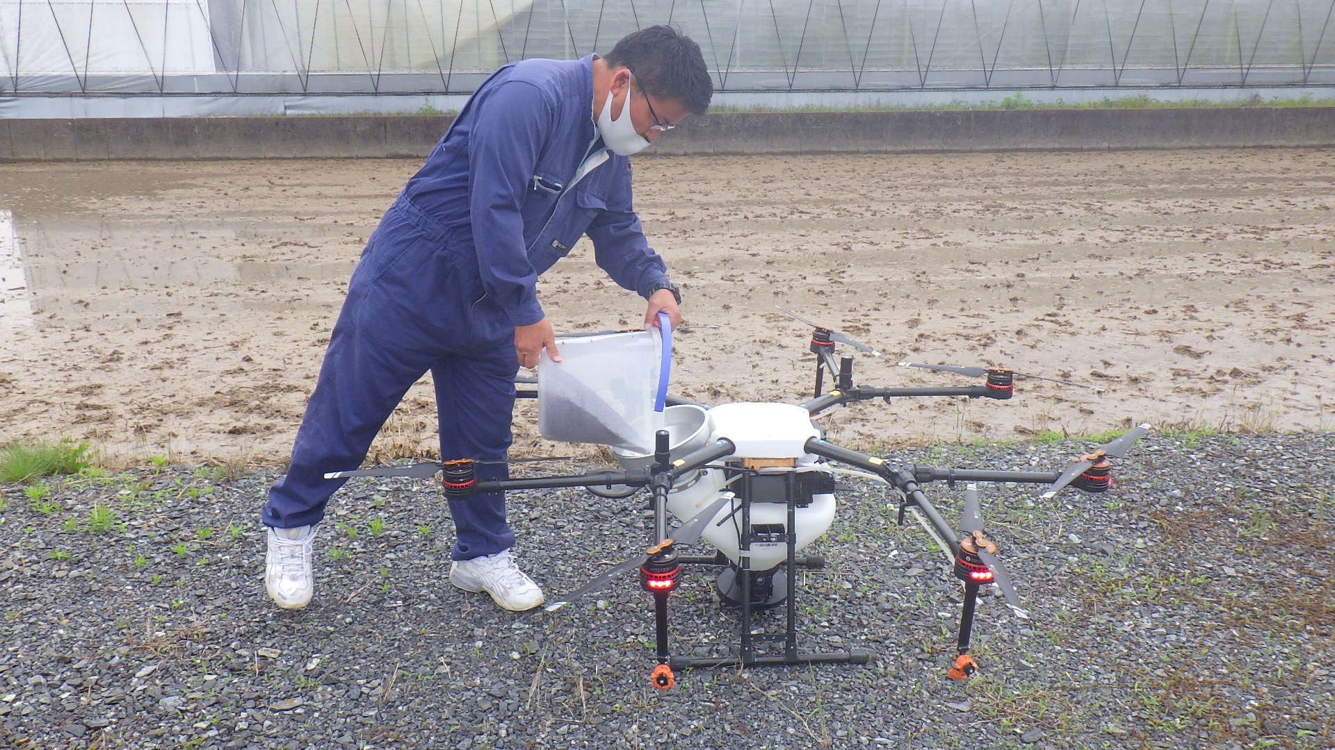 水稲湛水直播試験①