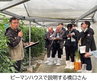 ピーマンハウス