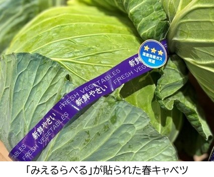 2 「みえるらべる」が貼られた春キャベツ.JPG