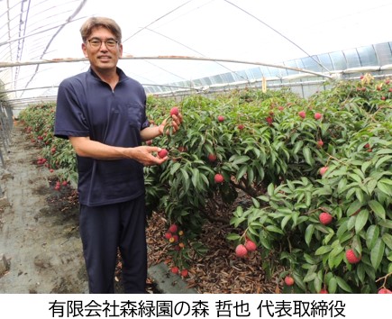 ライチ生産者の森代表