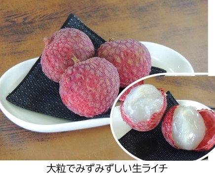 ライチを割ったところ