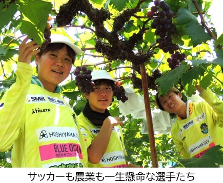 サッカーも農業も一生懸命な選手たち