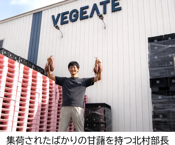ベジエイトの北村部長と島津甘藷