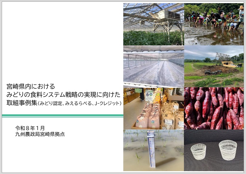 宮崎のみどり戦略