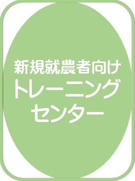 トレーニングセンター