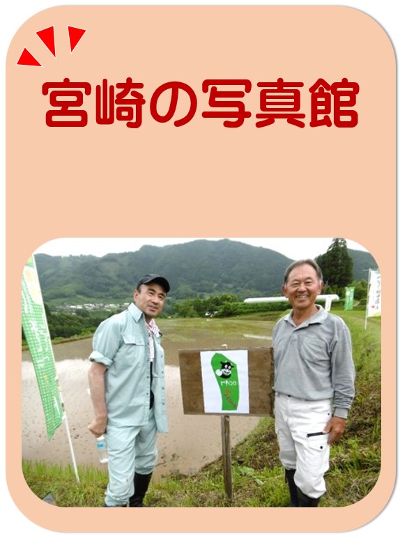 宮崎の写真館