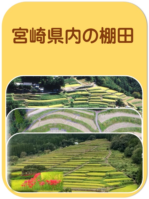 宮崎の棚田