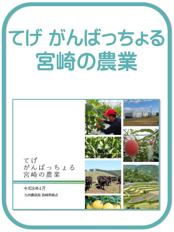 冊子　てげがんばっちょる農業