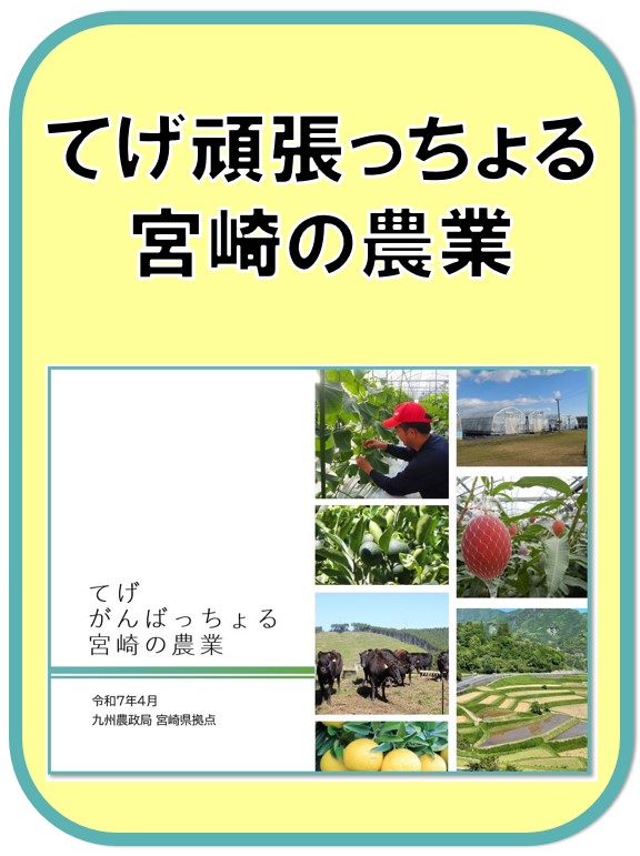 冊子　てげがんばっちょる農業