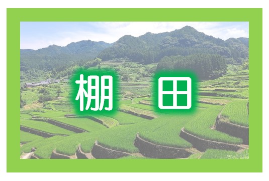 棚田バナー