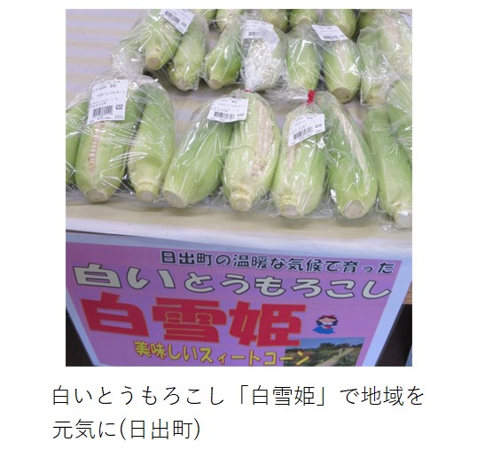 袋詰めされて販売中の白いとうもろこし「白雪姫」