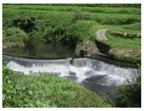 きばるいろ「こうだとうしゅこう」