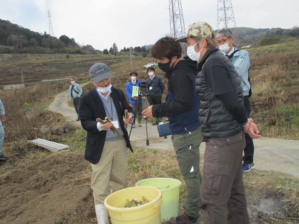 さとうきびの植付風景