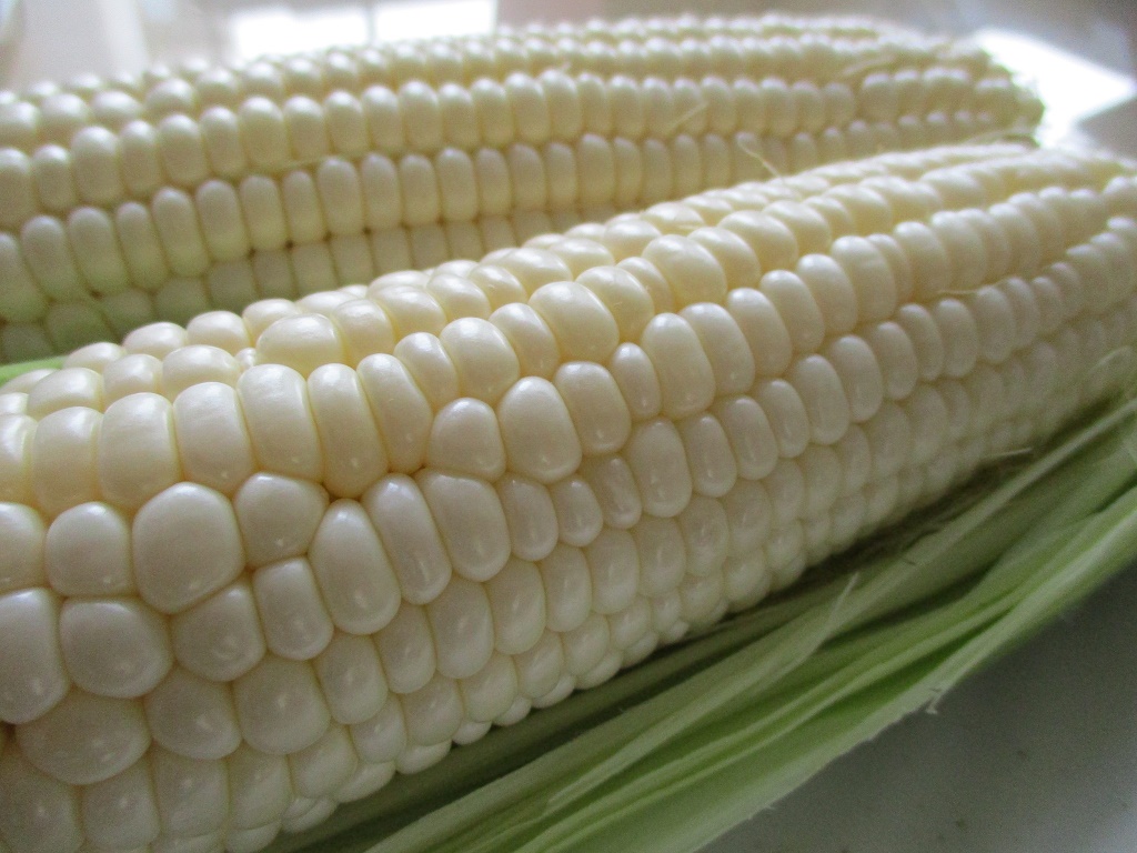 スイートコーン３